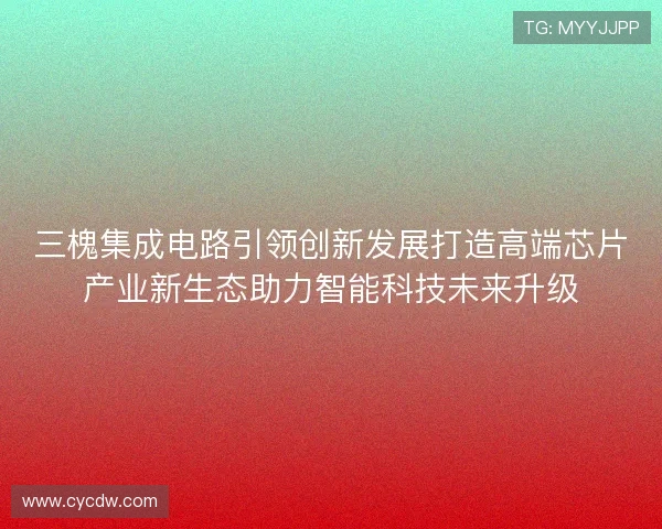 三槐集成电路引领创新发展打造高端芯片产业新生态助力智能科技未来升级